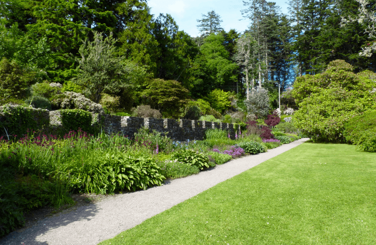 ADELÁNTATE CON GROUND IMPROVER