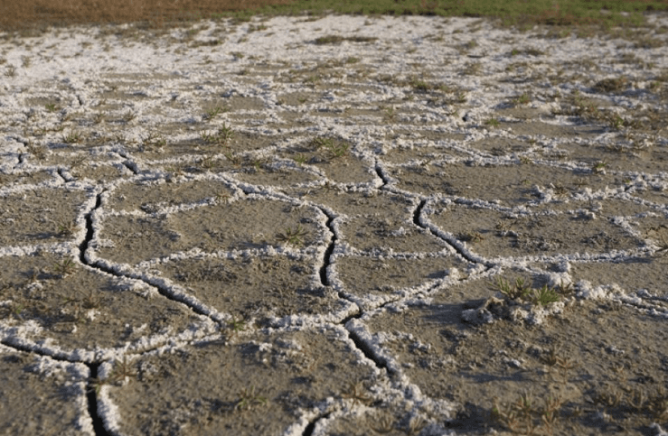 DESCRIPCIÓN GENERAL DE LA SALINIDAD DE LA TIERRA